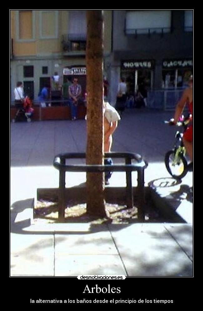 Arboles - la alternativa a los baños desde el principio de los tiempos