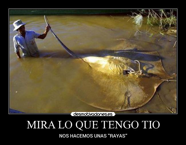 MIRA LO QUE TENGO TIO - NOS HACEMOS UNAS RAYAS