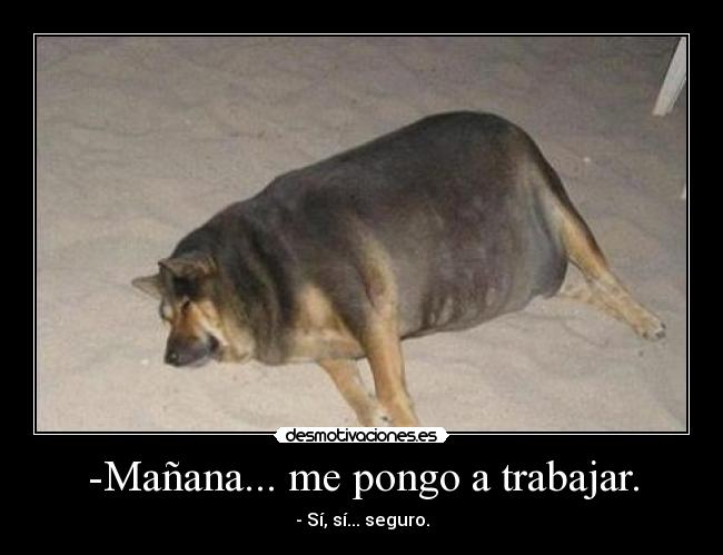 -Mañana... me pongo a trabajar. - - Sí, sí... seguro.