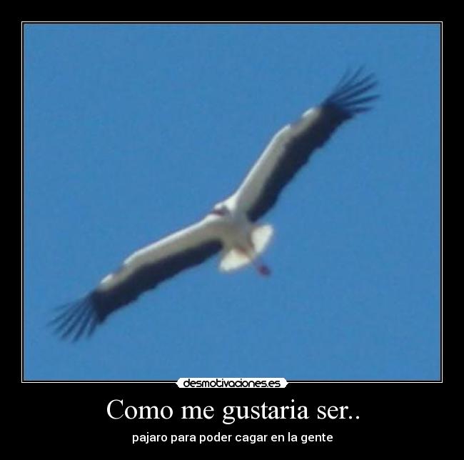 Como me gustaria ser.. - pajaro para poder cagar en la gente