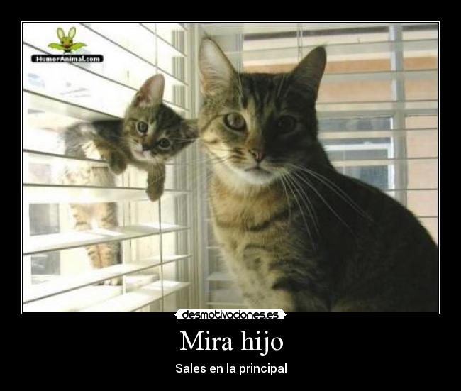 Mira hijo - Sales en la principal