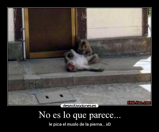 No es lo que parece... - le pica el muslo de la pierna... xD