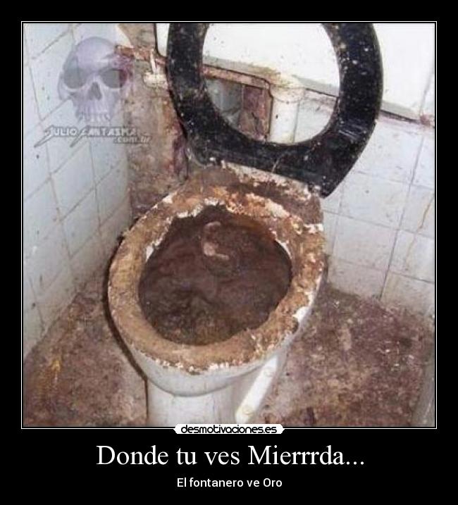 Donde tu ves Mierrrda... - El fontanero ve Oro
