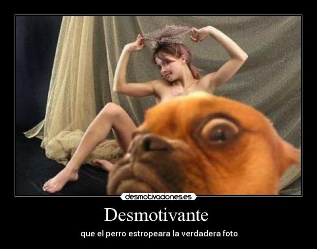 Desmotivante  - que el perro estropeara la verdadera foto
