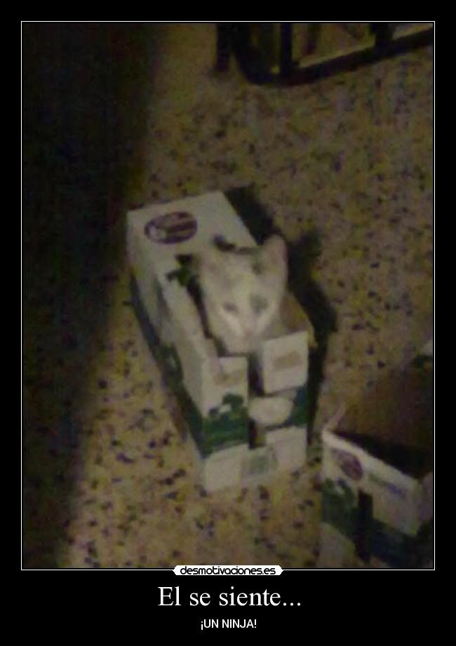 El se siente... - ¡UN NINJA!