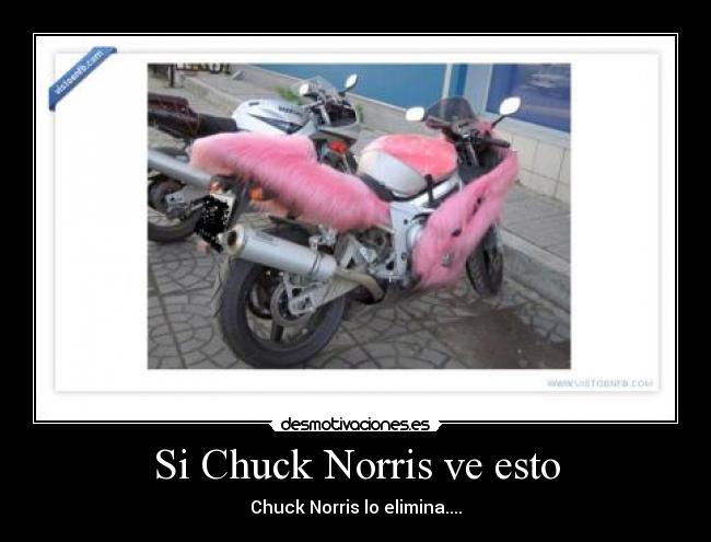 Si Chuck Norris ve esto - Chuck Norris lo elimina....