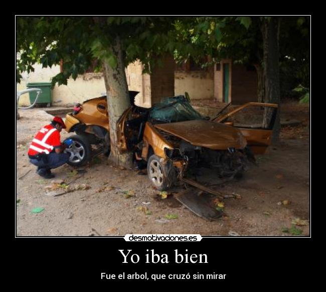 Yo iba bien -