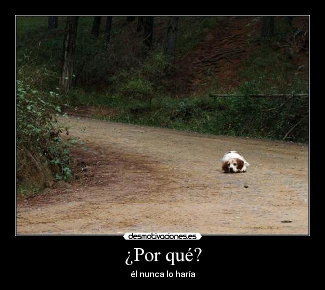 ¿Por qué? - él nunca lo haría