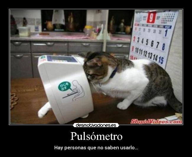 Pulsómetro - 
