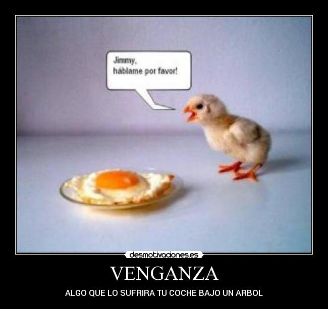 carteles pollito desmotivaciones