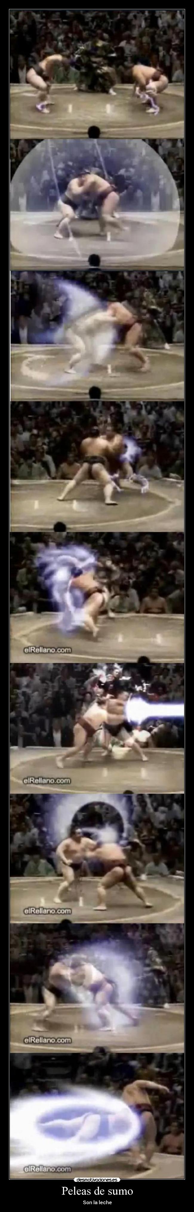 Peleas de sumo - 