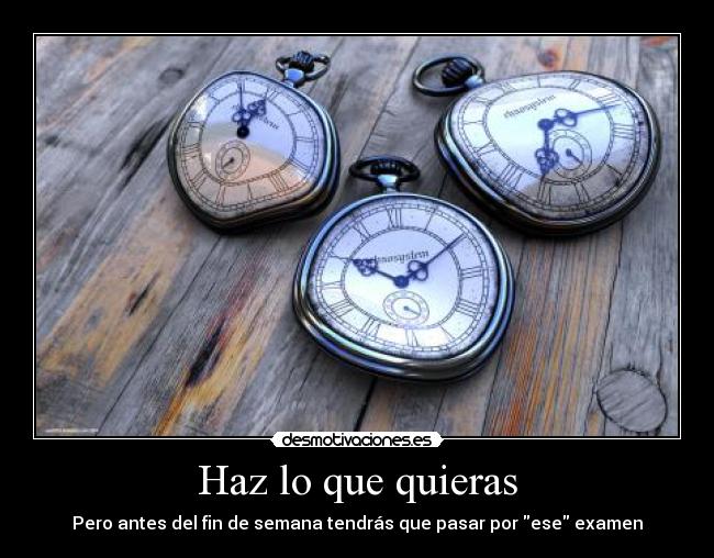 Haz lo que quieras -