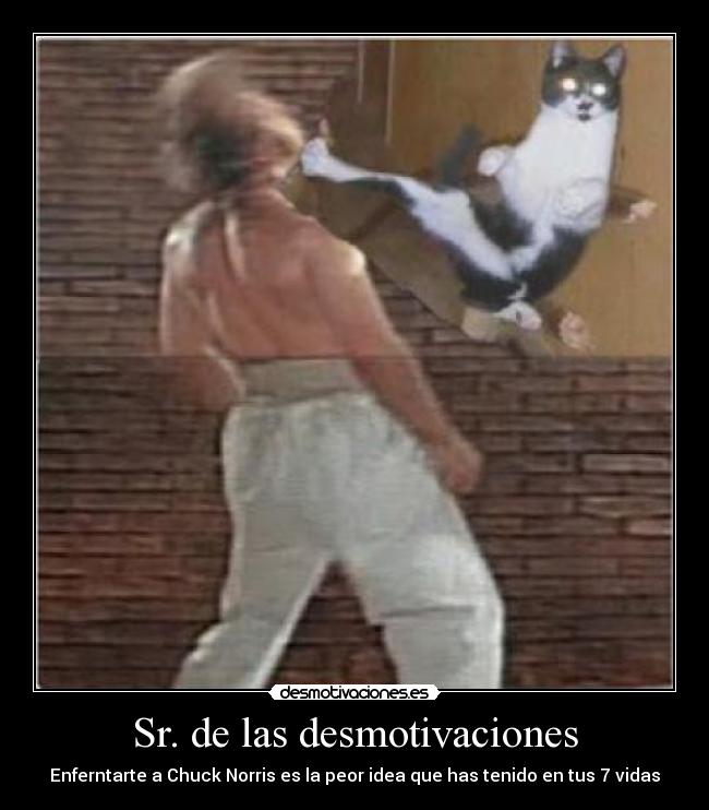 carteles desmotivaciones sr las demostivaciones chuck norris desmotivaciones