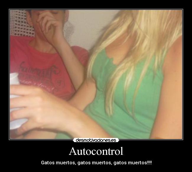 carteles gatos muertos tetas tia buena son las mias desmotivaciones