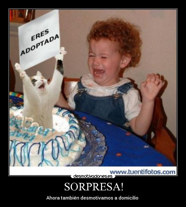 SORPRESA! - 