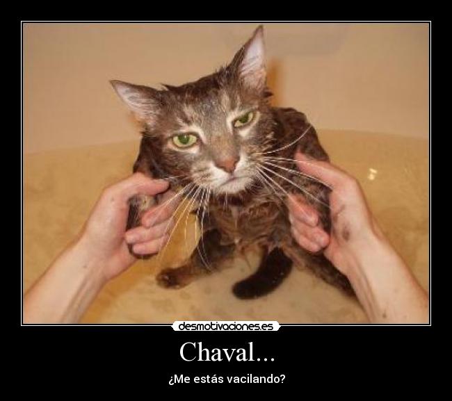 Chaval... - ¿Me estás vacilando?