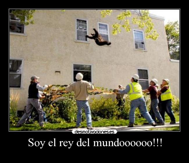 Soy el rey del mundoooooo!!! -
