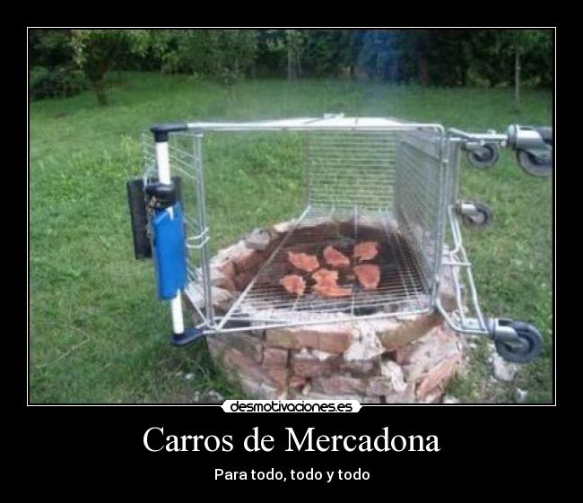 Carros de Mercadona - Para todo, todo y todo