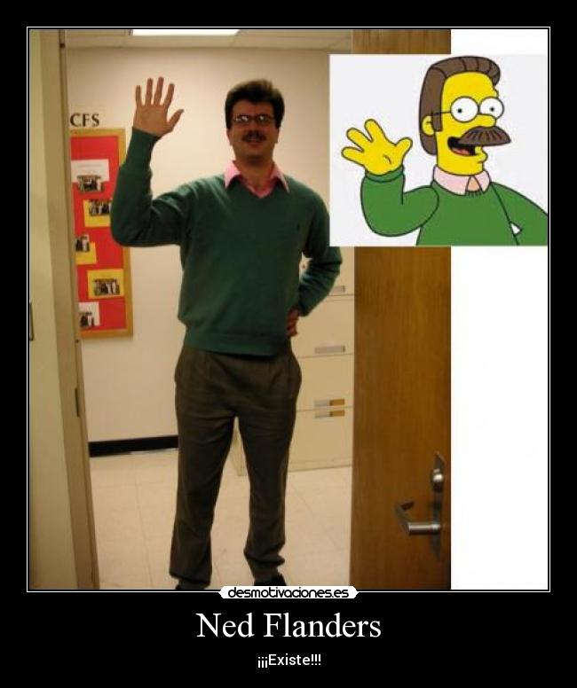Ned Flanders -