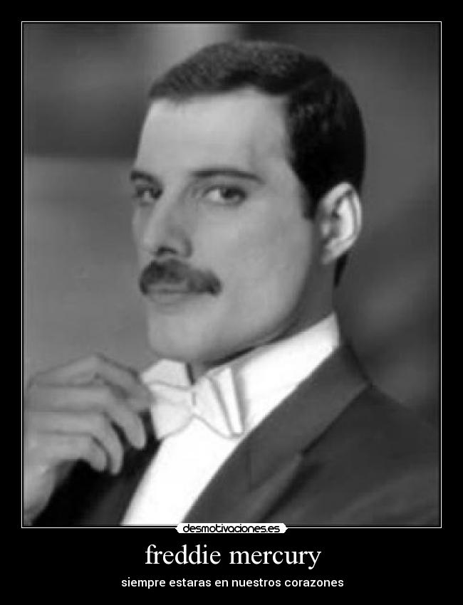 freddie mercury - siempre estaras en nuestros corazones
