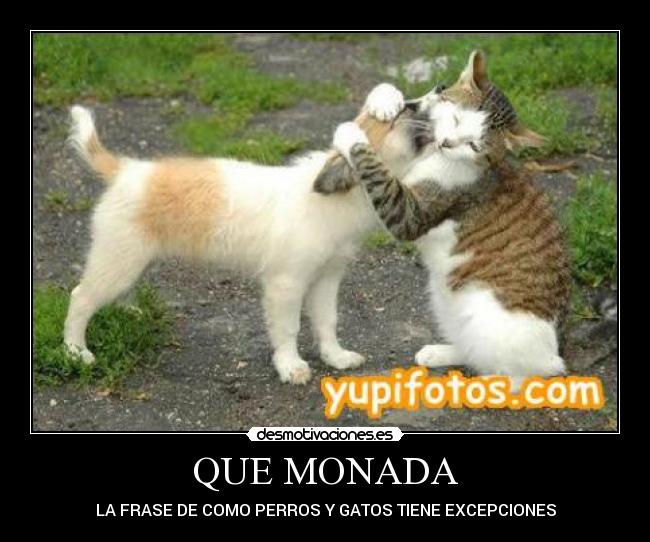 QUE MONADA -