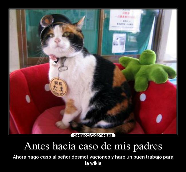 Antes hacia caso de mis padres - Ahora hago caso al señor desmotivaciones y hare un buen trabajo para la wikia