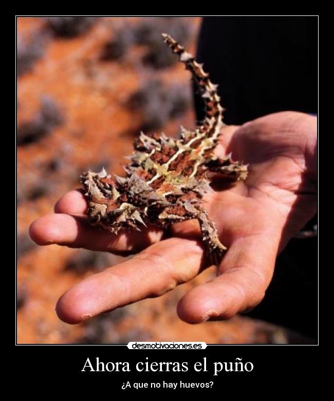 Ahora cierras el puño -