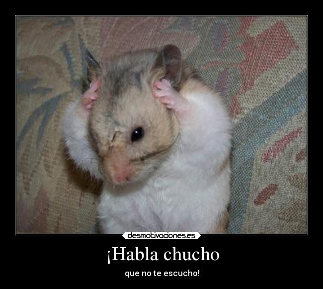 ¡Habla chucho -