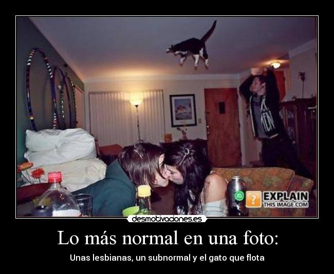 Lo más normal en una foto: - 