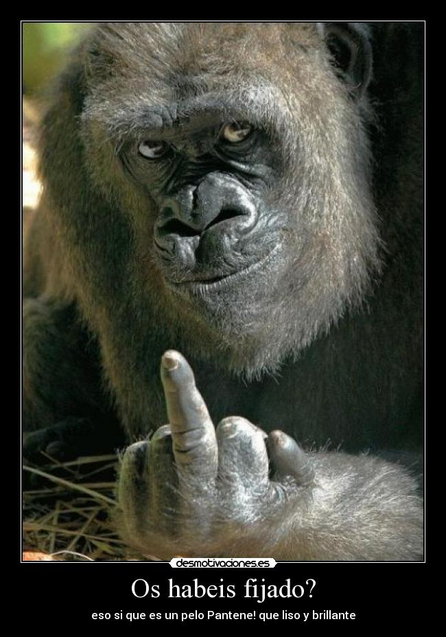 Os habeis fijado? - eso si que es un pelo Pantene! que liso y brillante