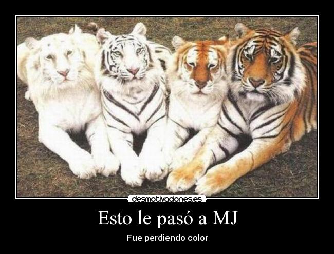 carteles michael jackson tigres color desmotivaciones