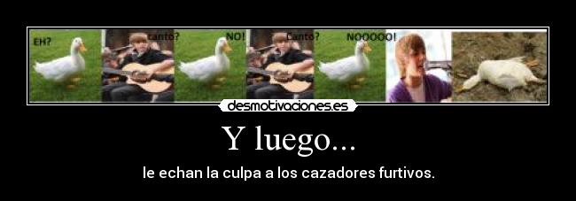 Y luego... - le echan la culpa a los cazadores furtivos.