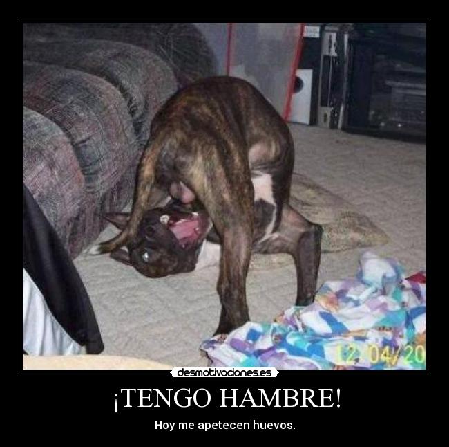 ¡TENGO HAMBRE! -