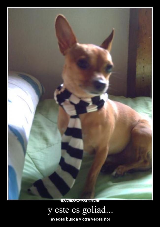 carteles jaja desmotivaciones