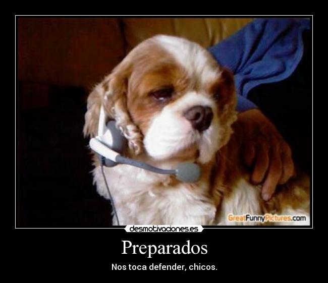 Preparados -