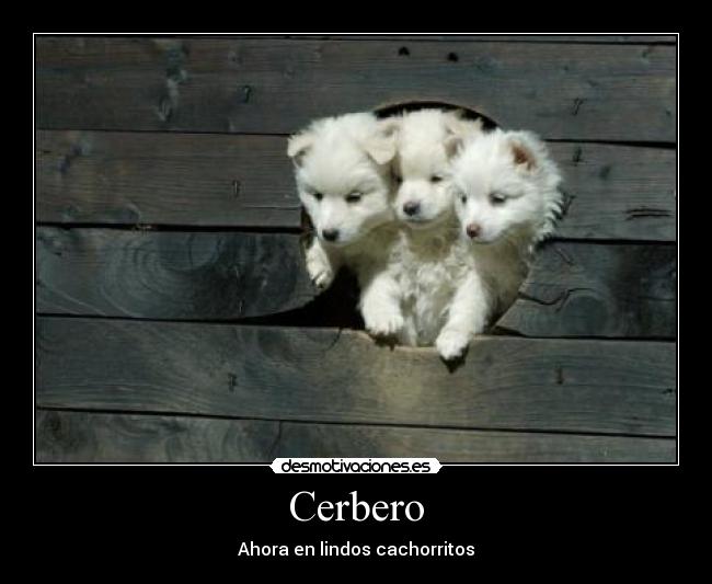 Cerbero - Ahora en lindos cachorritos