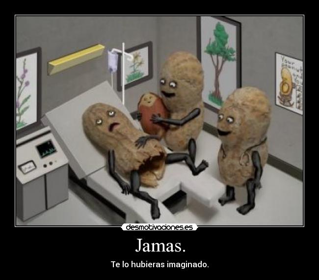 Jamas. - Te lo hubieras imaginado.