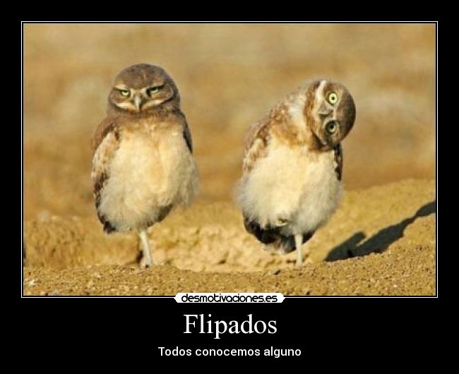 Flipados - Todos conocemos alguno
