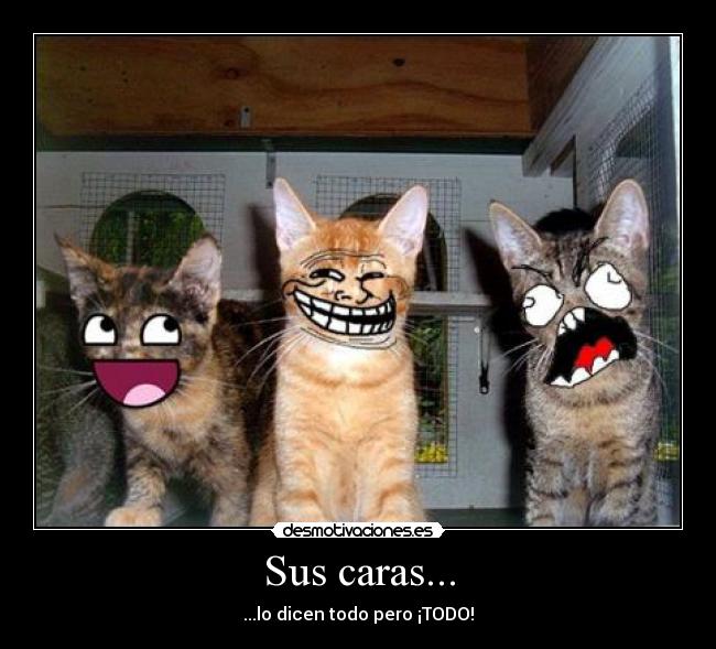 Sus caras... - ...lo dicen todo pero ¡TODO!