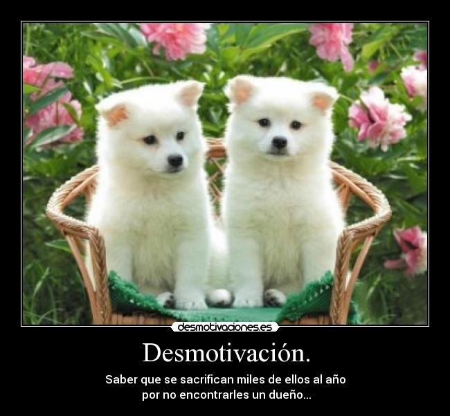 Desmotivación. - 