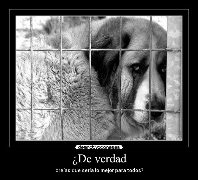 ¿De verdad - 