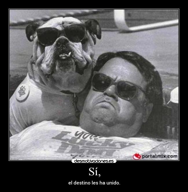 Sí, - el destino les ha unido.