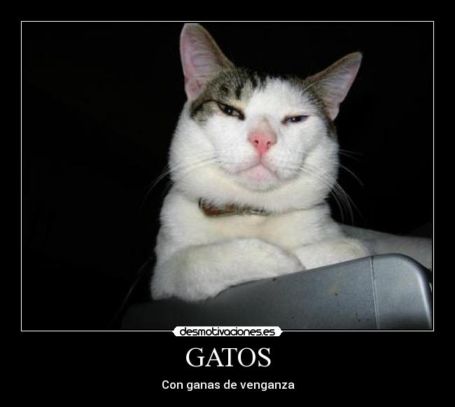 GATOS - 