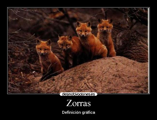 Zorras - Definición gráfica
