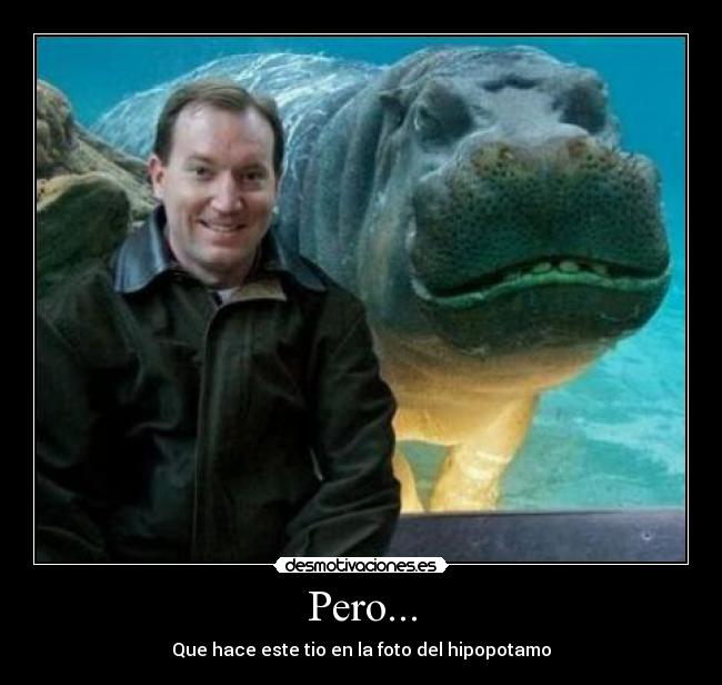 Pero... - 