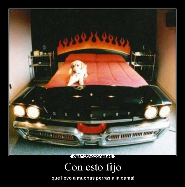 Con esto fijo - que llevo a muchas perras a la cama!