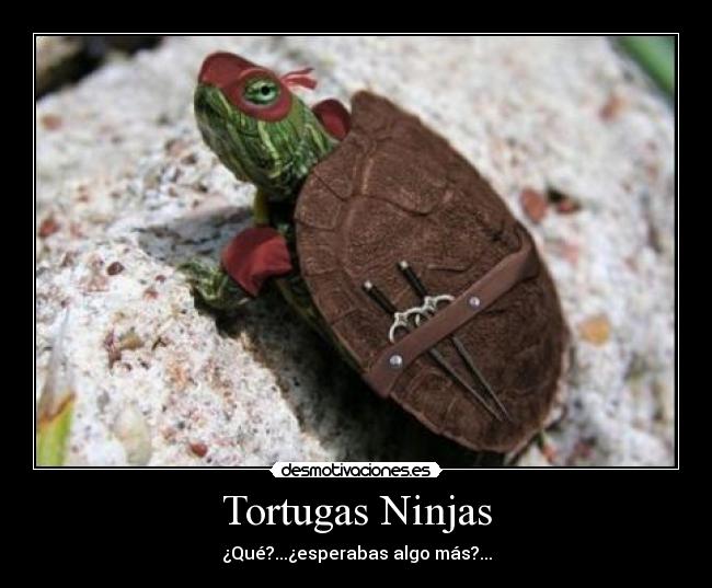 Tortugas Ninjas - ¿Qué?...¿esperabas algo más?...
