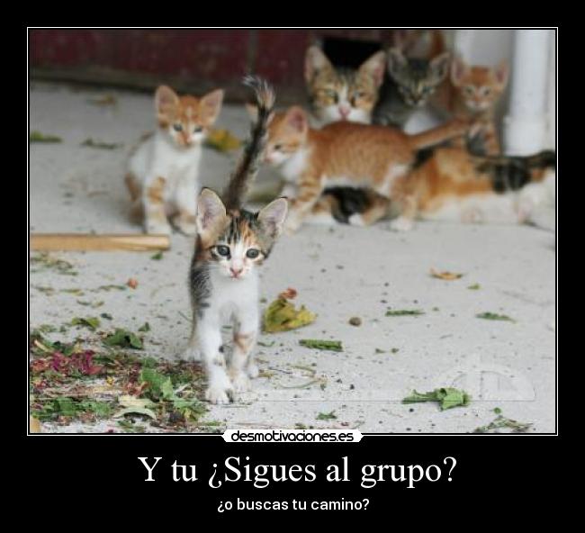 Y tu ¿Sigues al grupo? -