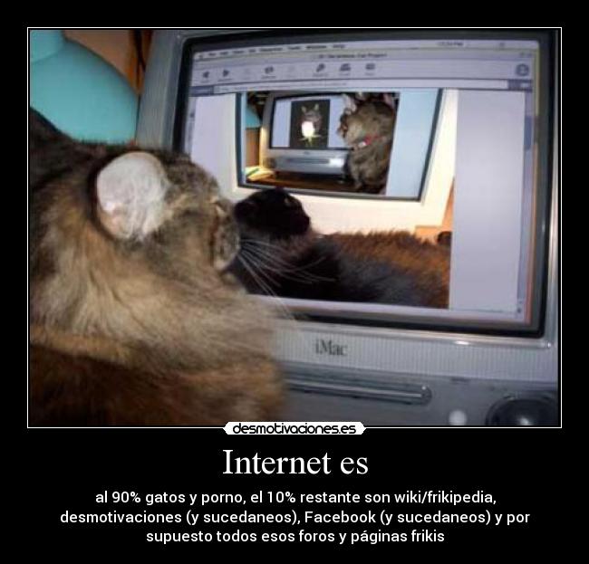 Internet es - al 90% gatos y porno, el 10% restante son wiki/frikipedia,
desmotivaciones (y sucedaneos), Facebook (y sucedaneos) y por
supuesto todos esos foros y páginas frikis