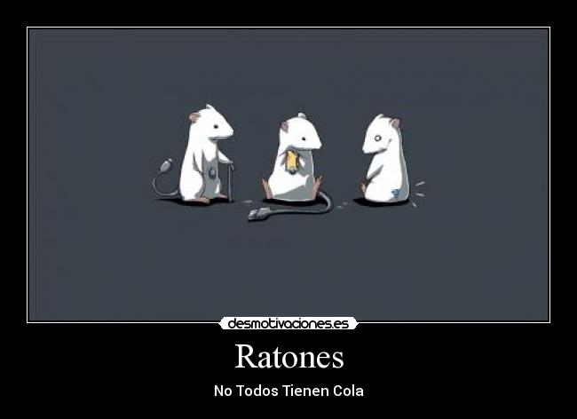 Ratones -